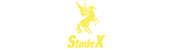 STUDEX STUDEX