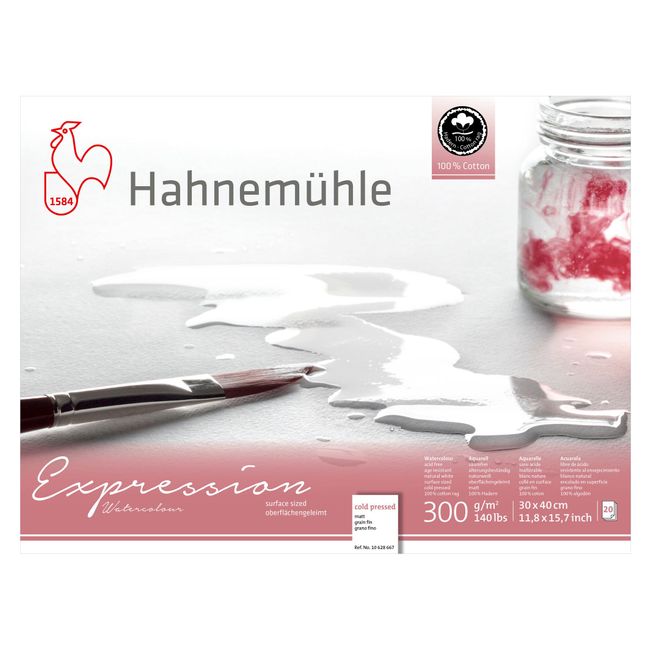 Papel Hahnemühle Expression Watercolour A3 300g/m² 20 Folhas