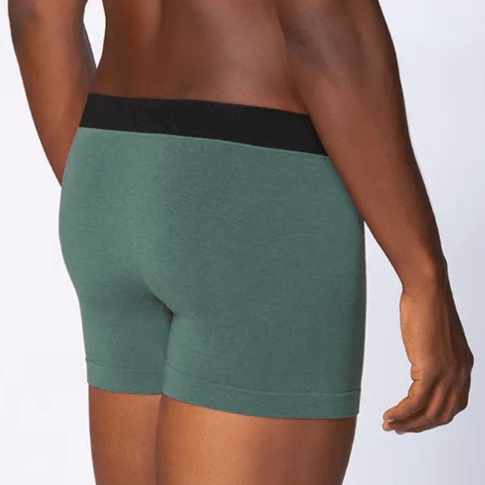 Cueca Boxer Bambu Modal Seamless Lupo