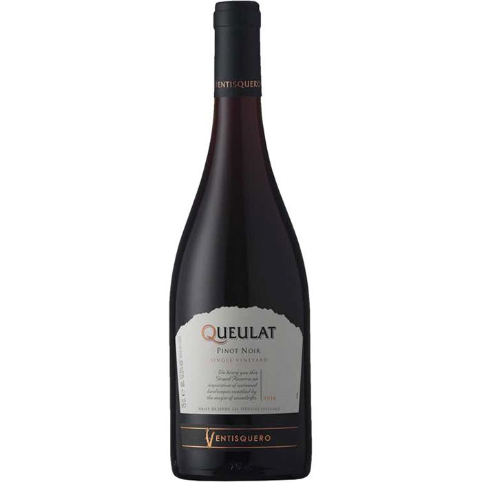 Ventisquero Queulat Pinot Noir 750 ml