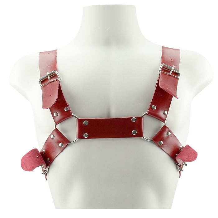 Arreio Aquiles Harness Dominatrixxx