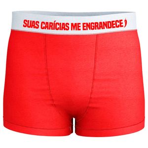 Cueca Sexy Suas Carícias Me Engrandece Pimenta Sexy