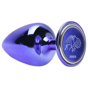 Plug Anal M Metal Lilas Signos Hard