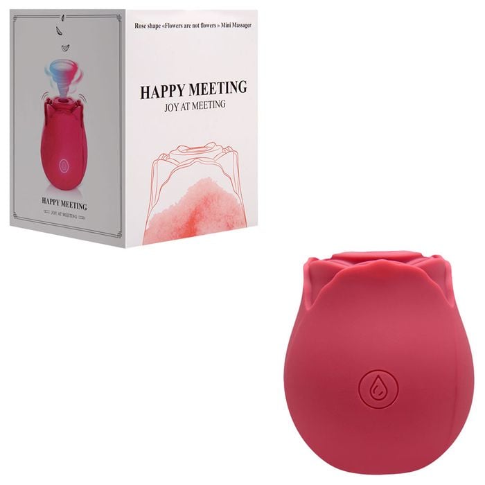 Flor Vibrador Pulsação Meet Happy Usb Yaffa