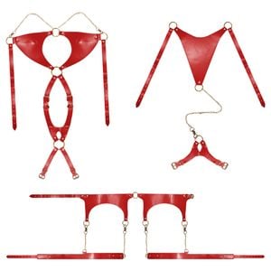 Conjunto Harness Top Calcinha Cinta Liga Sexy Import