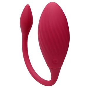 Vibrador Alrora Duas Pontas 9 Modos App Sexy Import