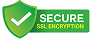 img ssl security