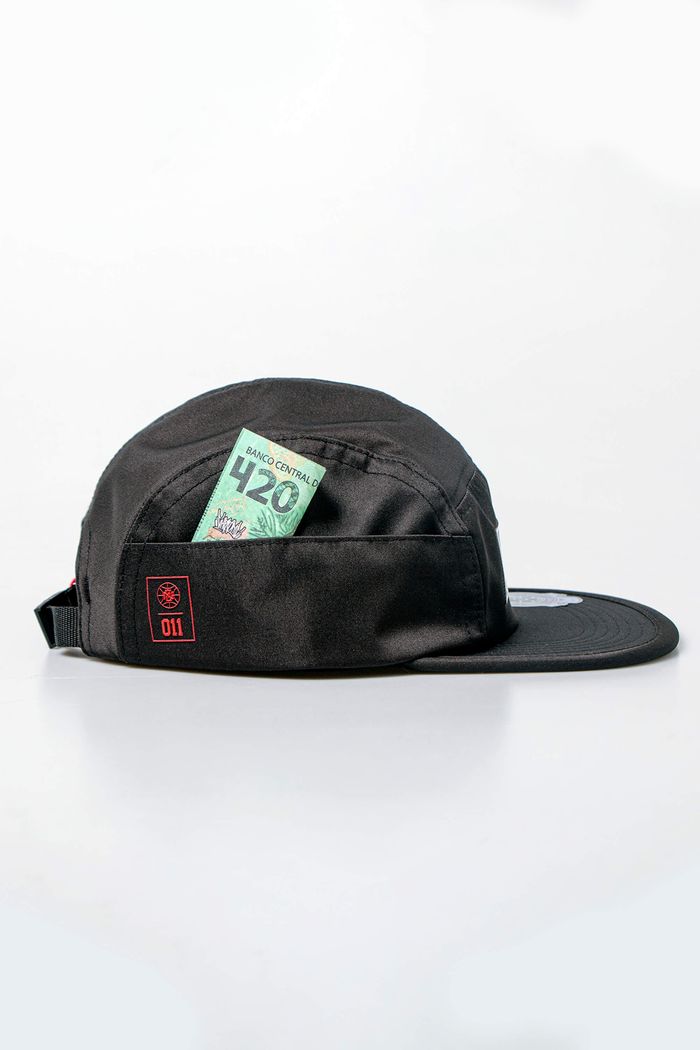 2024-148 Five Panel Chronic 