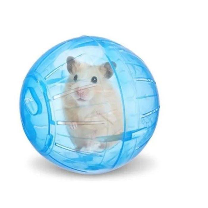 Bola Brinquedo Para Roedores Globo Hamster 11,5cm Resistente Azul