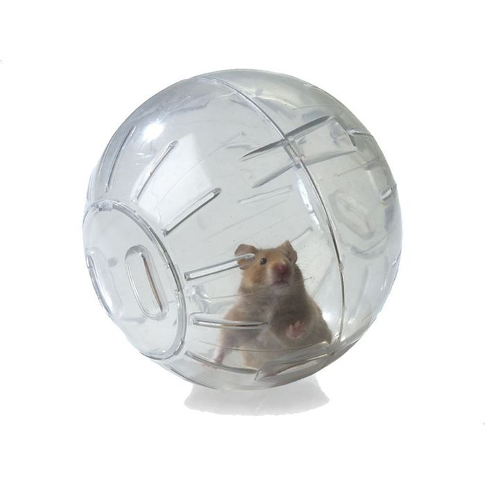 Bola Brinquedo Para Roedores Globo Hamster 11,5cm Resistente Transparente