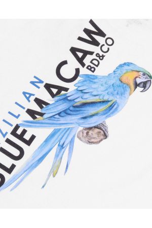 Conjunto Camiseta Sarja Blue Macaw