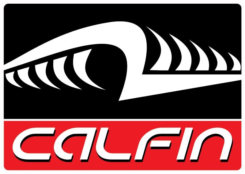 Camiseta Calfin Logotipo Costas