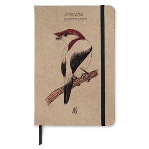 Caderno Kraft taccbook® Soldadinho do Araripe (Antilophia bokermanni) 14x21 Cm