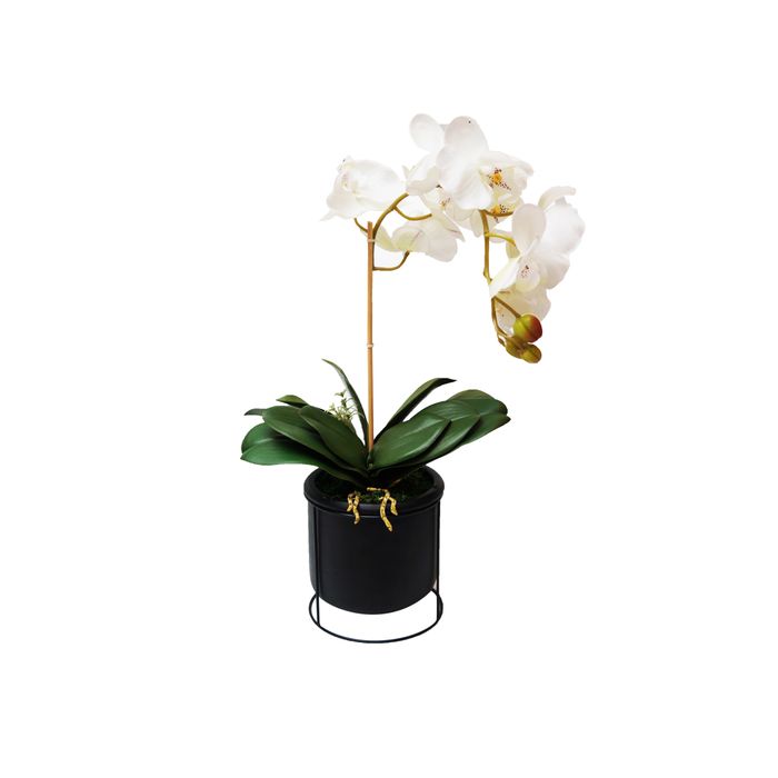 Vaso Redondo Preto Com Orquidea Phalaenopsis Branca 30x52cm 