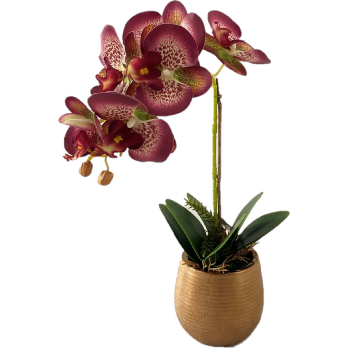 Arranjo De Orquideas Phalaenopsis Lilas Com Branco No Vaso Redondo Dourado 28x40cm 