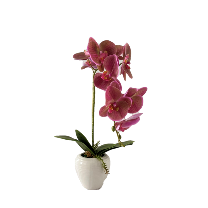 Arranjo De Orquidea Phalaenopsis Lilas Em Vaso Espiral Ceramica Branca 34x54cm