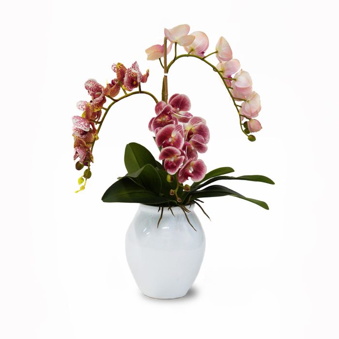 Vaso  Branco Com Orquideas Pink 