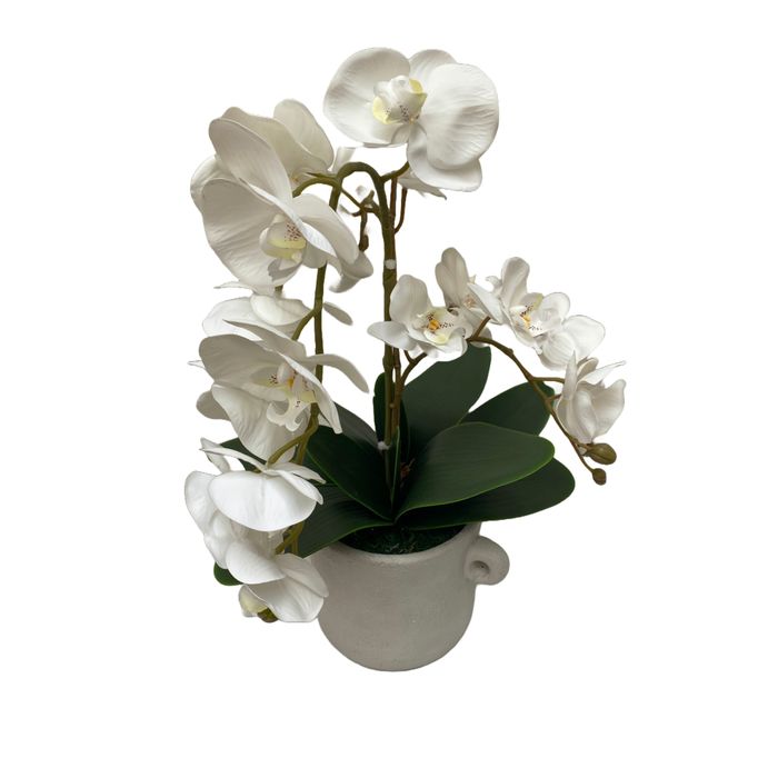 Vaso Em Cimento Com Orquideas Phalaenopsis Brancas 34x54cm (lxa)