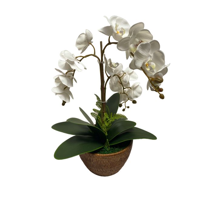 Vaso Redondo Em Rattan Com Orquideas Phalaenopsis Branca 35x50cm (lxa)