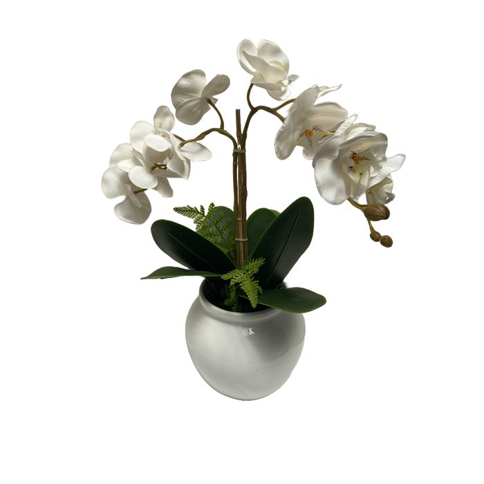 Vaso Redondo Ceramica Branca Com Orquideas Phalaenopsis Branca 38x50cm (lxa)
