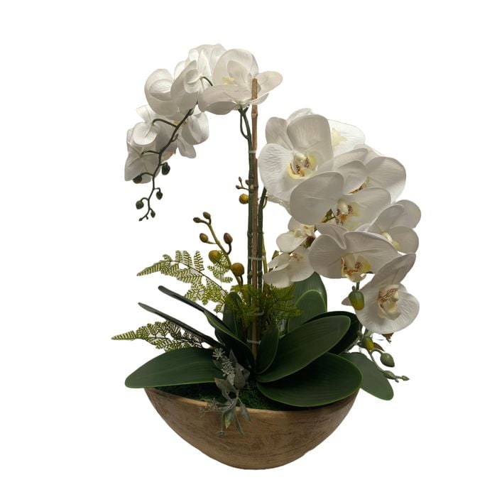 Arranjo De Orquideas Phalaenopsis Branca Em Vaso De Madeira 49x60cm (lxa)