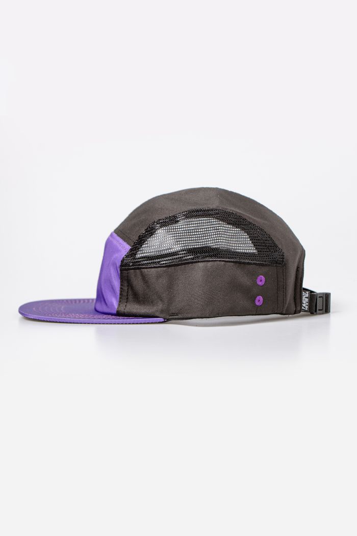 Chronic Five Panel  22/027