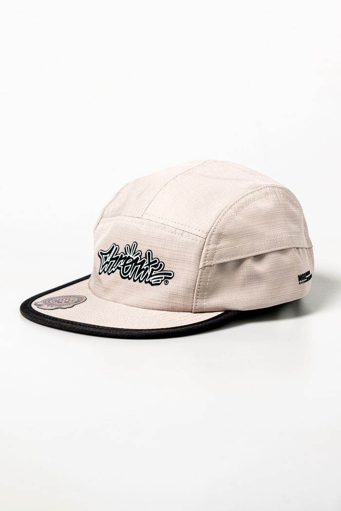 2024 -133 Five Panel Chronic