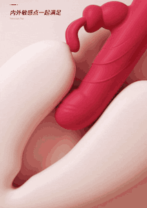 Vibrador Vai e Vem Rabbit - Recarregável - Larry - YOUVIBE- PG217