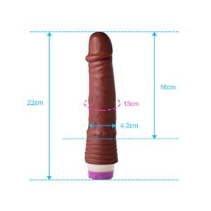 Pênis Vibrador 20 x 4,2 cm