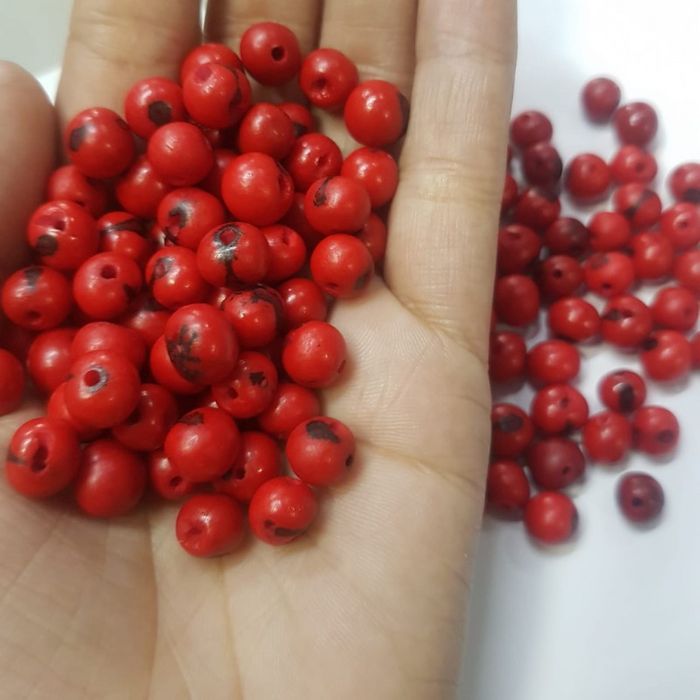 Semente De Açaí Vermelho escuro - 100 Peças