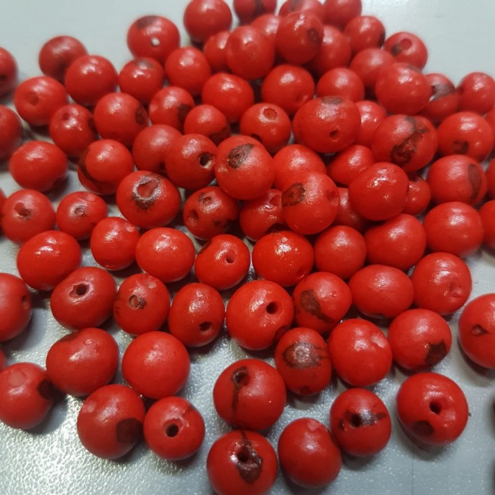 Semente De Açaí Vermelho Z1 - 100 Peças