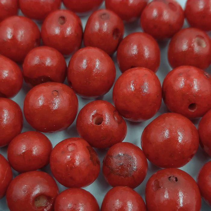 Semente De Açaí Vermelho Z1 - 50 Peças