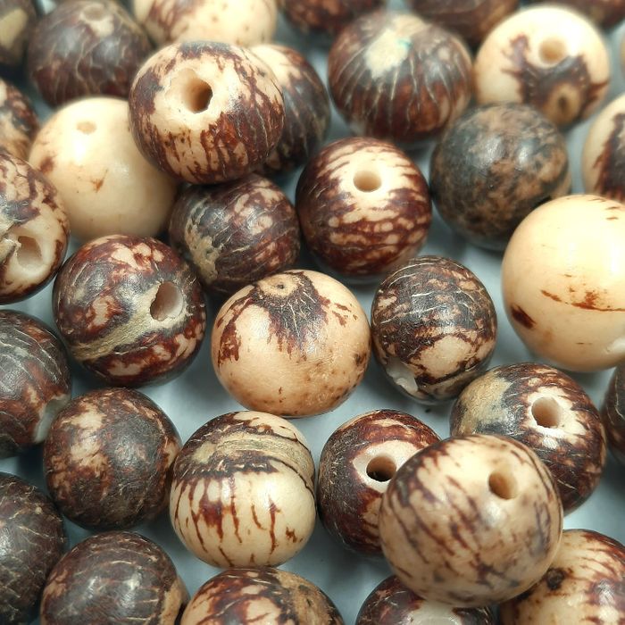 Semente De Açaí Marrom Rajada - 50 Peças