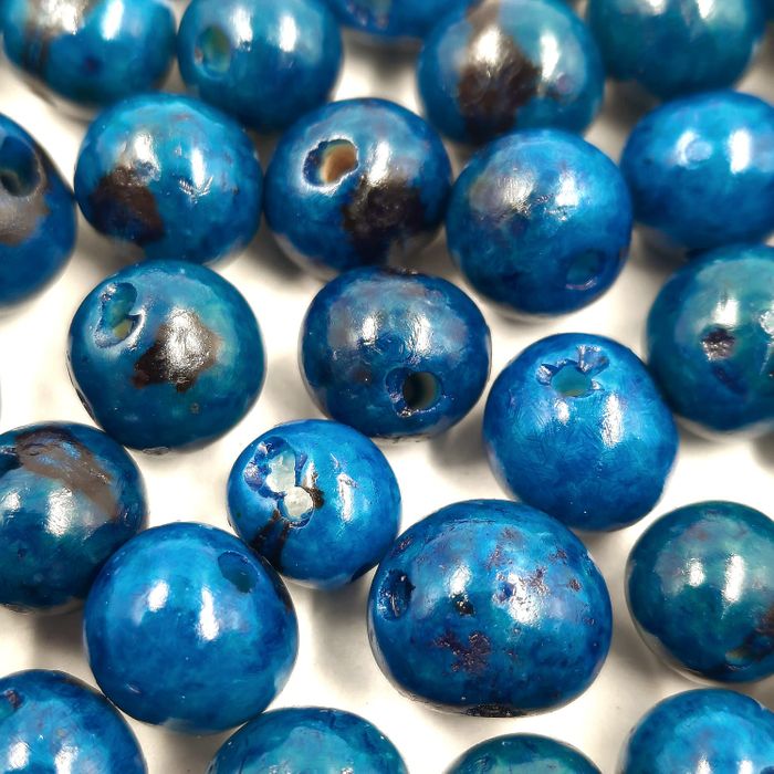 Semente De Açaí Azul - 50 Peças