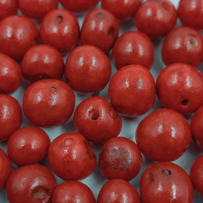Semente De Açaí Vermelho Z1 - 100 Peças