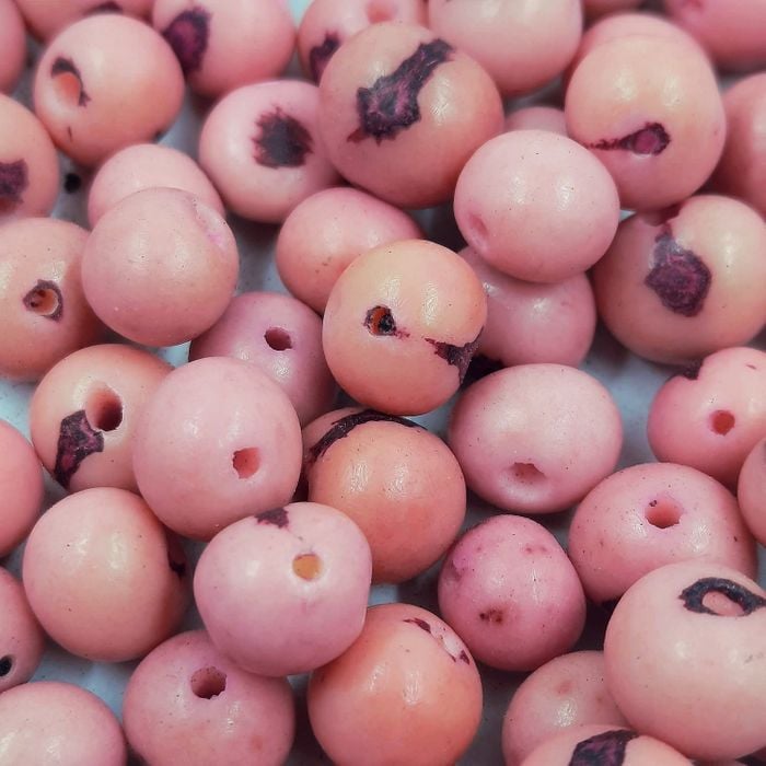 Semente De Açaí Rosa - 50 Peças