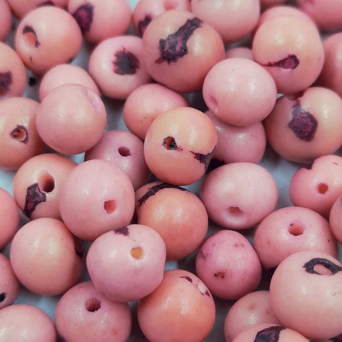 Semente De Açaí Rosa - 100 Peças