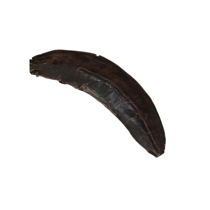 Fava de Aridan -  01 Peça