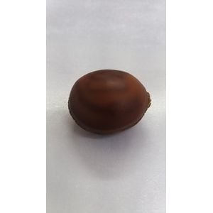 Olho de Boi sem Furo -  01 Peça