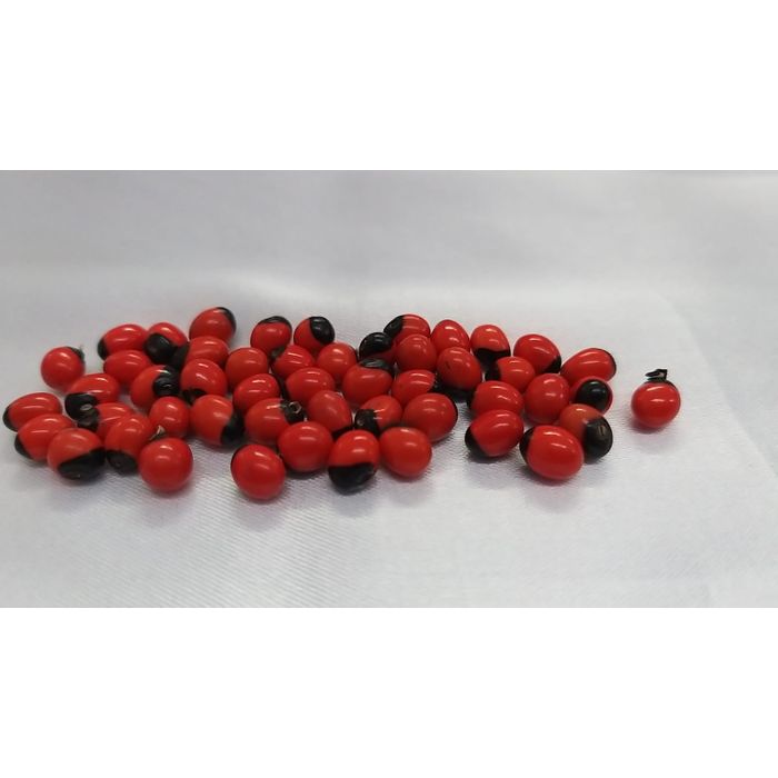 Olho de Pombo/Fava de Pombagira sem Furo -  20 Peças
