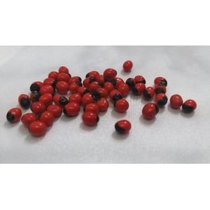 Olho de Pombo/Fava de Pombagira com Furo -  20 Peças