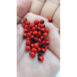 Olho de Pombo/Fava de Pombagira com Furo -  20 Peças
