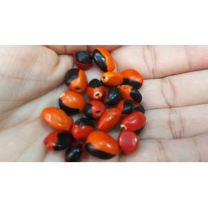 Olho de Cabra com Furo -  20 Peças
