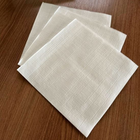 Guardanapo Descartável Folha Dupla Biodegradável De Papel Branco, Dobra 1/4, 12x12cm - 100 Unidades