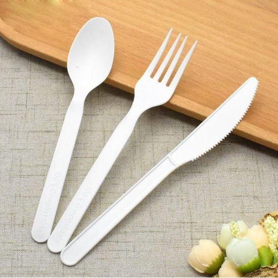 Colher Descartável, Biodegradável E Compostável Em Cpla Branco, 16cm - 50 Unidades

