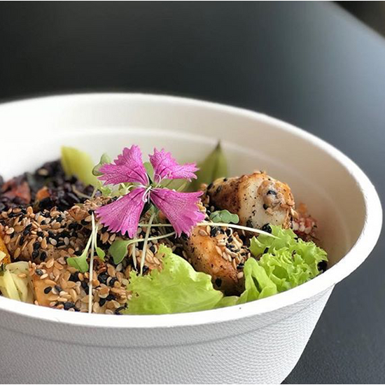 Bowl Descartável Biodegradável Em Bagaço De Cana, 500ml - 125 Unidades