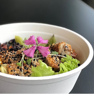 Bowl Descartável Biodegradável Em Bagaço De Cana, 500ml - 125 Unidades