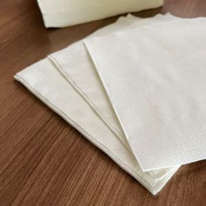 Guardanapo Descartável Folha Dupla Biodegradável De Papel Branco, Dobra 1/4, 16,5x16,5cm - 100 Unidades
