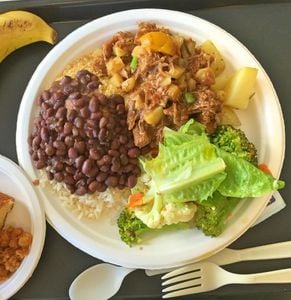 Prato Descartável Biodegradável Redondo Em Bagaço De Cana, 23cm - 125 Un