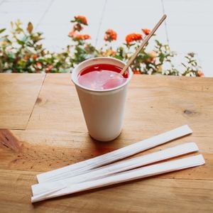 Copo Biodegradável Em Papel Para Bebidas Quentes E Frias, 310ml - 50 Unidades
